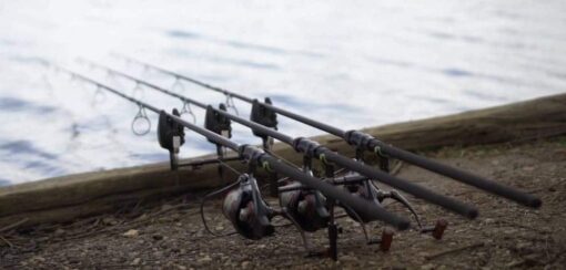 Alcop Rods 12 Best Carp Rods in 2026 - (All Tactics Covered)