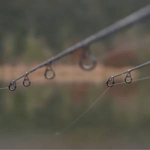 The eyes/guides
