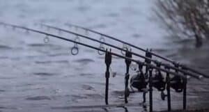 Shimano TX2 Review