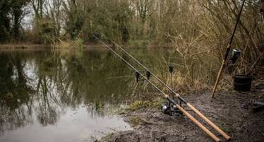 Wychwood Riot Carp Rod Review