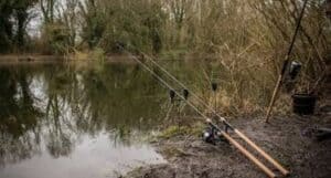 Wychwood Riot Carp Rod Review
