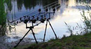 Best Budget Carp Rods