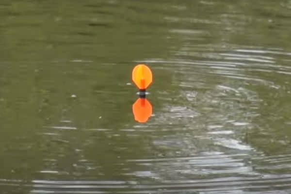 A marker float in the water