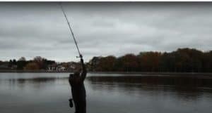 Best Spod Rods