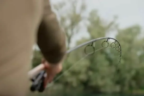 Test Curve On A Surface Fishing Rod
