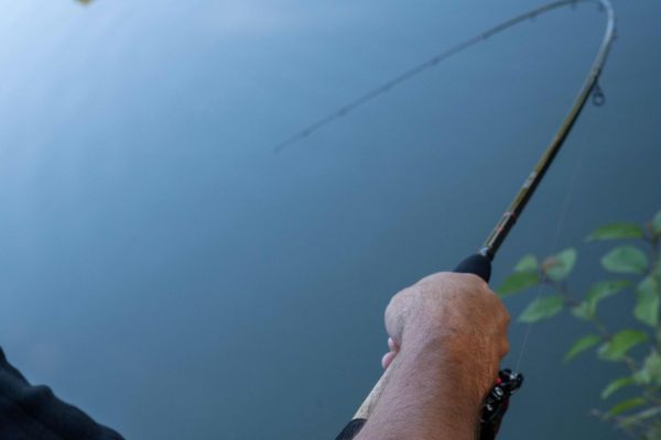 Nytro Aryzon Playing Fish