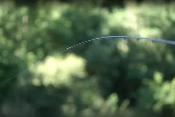 Barbel Rod Playing Action