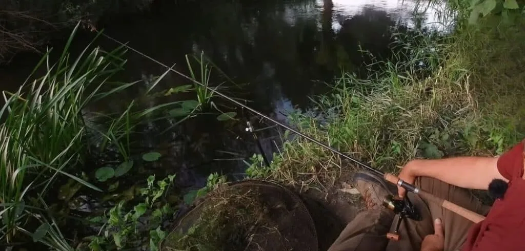 Daiwa Infinity EVO Barbel Rod
