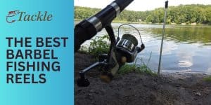Best Barbel Fishing Reels