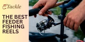 Best Feeder Fishing Reels