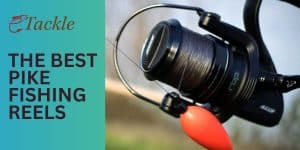 Best Pike Fishing Reels