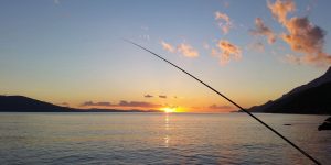Best Sea Fishing Rods