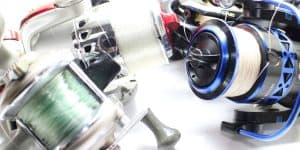 Best Fishing Reels