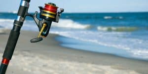 Best Sea Fishing Reels