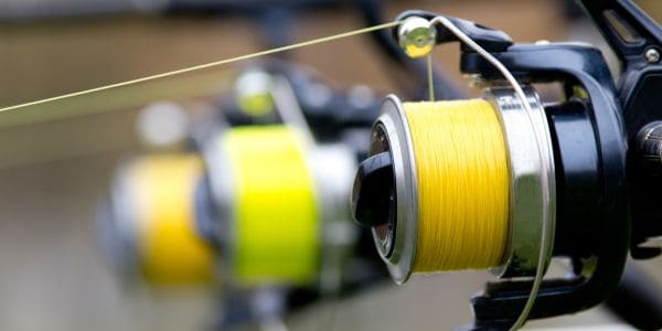 Fishing Reels