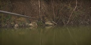 Best Margin Fishing Poles