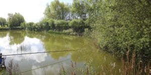 Best Budget Fishing Poles