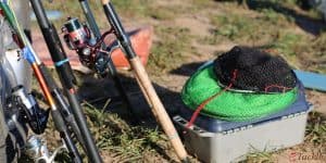 Best Fishing Starter Kits