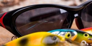 Best Polarised Sunglasses