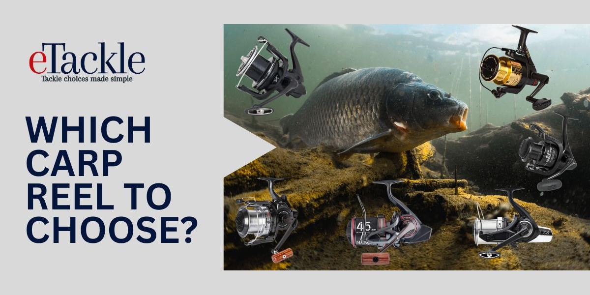 Best Carp Reels