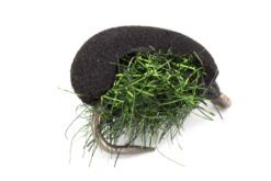 Nash Black Louse