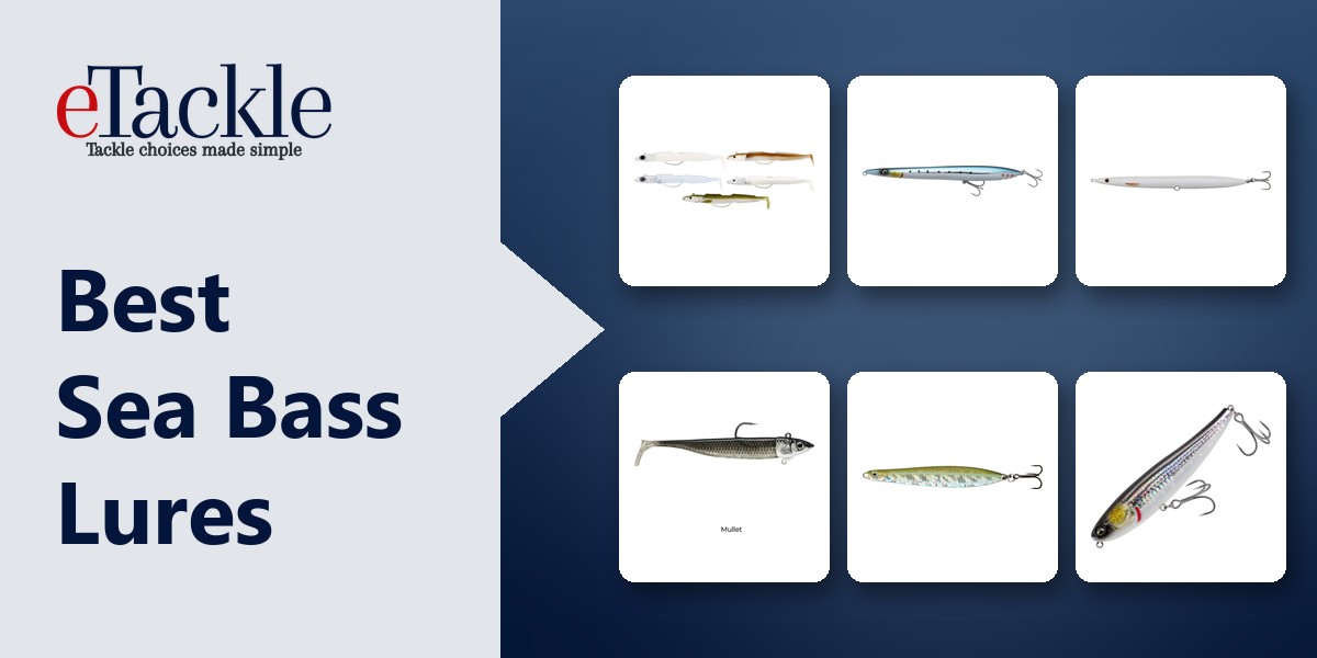 Sea bass lures including weedless sandeels, surface walkers, a sinking pencil, a rigged minnow and a blade