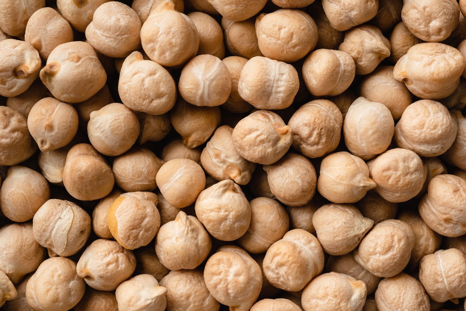 Close-up of dried chickpeas