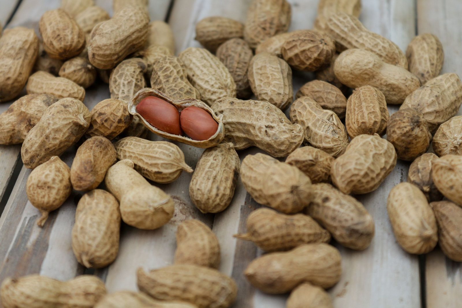 Peanuts in their shells, with one opened