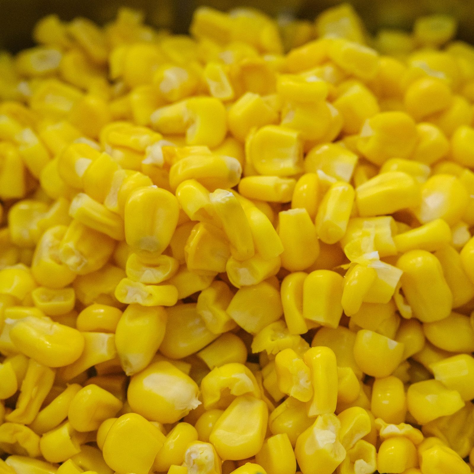 Loose yellow sweetcorn kernels