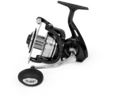 Black Cat Shadow Cat Reels