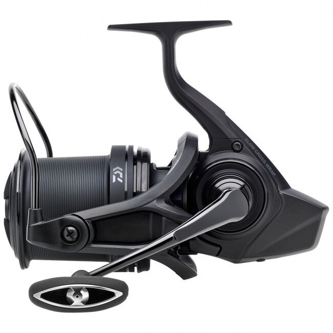 Daiwa 19 Basia 45 SCW-QD Reel