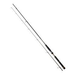 Daiwa Bg Seabass Rod
