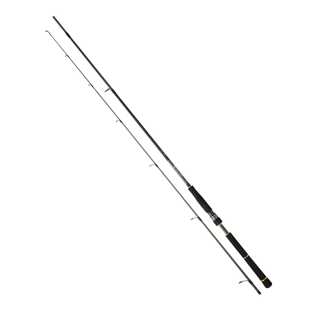 Daiwa Bg Seabass Rod