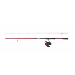 Penn Fierce IV Labrax 242 15-40g 3000 Combo