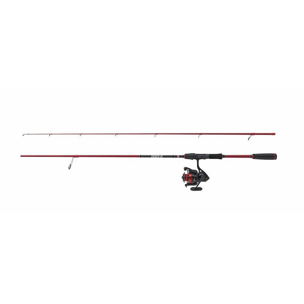 Penn Fierce IV Labrax 242 15-40g 3000 Combo