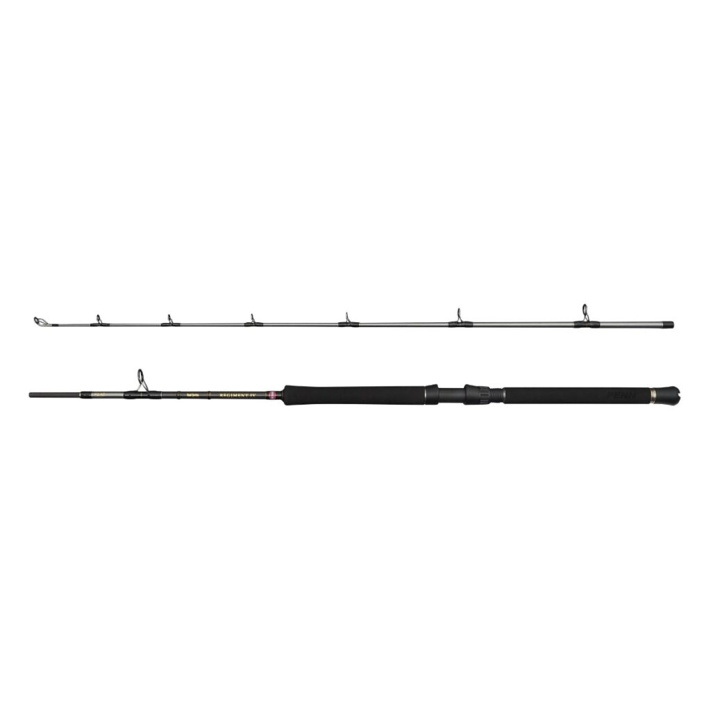 Penn Regiment IV Boat 702 2pc Rod