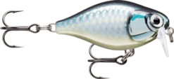 Rapala X-Light Crank Shallow Runner