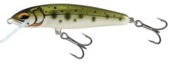 Salmo Minnow Lures